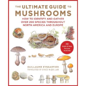 Ultimate Guide To Mushrooms