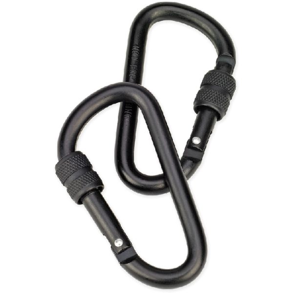 Small Locking Carabiner