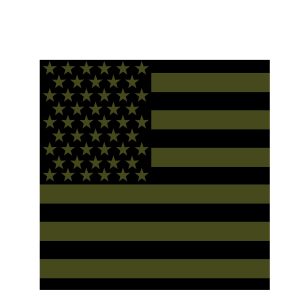Subdued US Flag Bandana